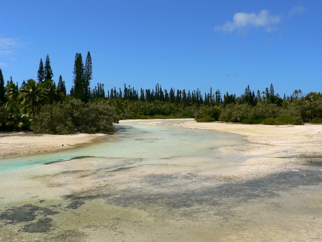 78- La riviere d'Oro a maree basse 